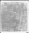 Cork Daily Herald Monday 11 February 1889 Page 3