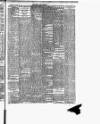 Cork Daily Herald Thursday 11 April 1889 Page 5