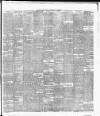 Cork Daily Herald Wednesday 02 October 1889 Page 3