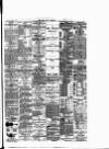 Cork Daily Herald Saturday 02 November 1889 Page 3