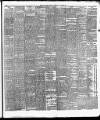 Cork Daily Herald Thursday 23 January 1890 Page 3