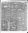 Cork Daily Herald Thursday 30 January 1890 Page 2