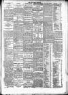 Cork Daily Herald Thursday 19 February 1891 Page 3