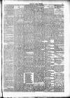 Cork Daily Herald Thursday 19 February 1891 Page 5