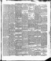 Cork Daily Herald Saturday 25 February 1893 Page 5