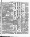 Cork Daily Herald Friday 26 May 1893 Page 7