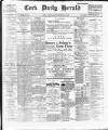 Cork Daily Herald Friday 30 November 1894 Page 1