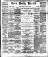 Cork Daily Herald Monday 14 January 1895 Page 1