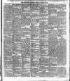Cork Daily Herald Tuesday 15 January 1895 Page 7