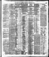 Cork Daily Herald Thursday 17 January 1895 Page 3