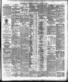 Cork Daily Herald Saturday 19 January 1895 Page 3