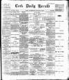 Cork Daily Herald Wednesday 23 January 1895 Page 1