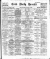 Cork Daily Herald Saturday 26 January 1895 Page 1