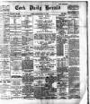 Cork Daily Herald Friday 17 May 1895 Page 1