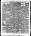 Cork Daily Herald Wednesday 26 June 1895 Page 5