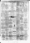 Cork Daily Herald Saturday 21 December 1895 Page 3