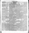 Cork Daily Herald Wednesday 01 January 1896 Page 5