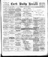Cork Daily Herald Thursday 02 January 1896 Page 1