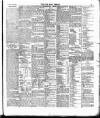 Cork Daily Herald Thursday 02 January 1896 Page 3