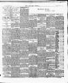 Cork Daily Herald Saturday 11 January 1896 Page 8