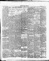 Cork Daily Herald Friday 29 May 1896 Page 4