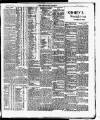 Cork Daily Herald Wednesday 03 June 1896 Page 3