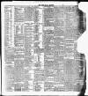 Cork Daily Herald Tuesday 17 November 1896 Page 3