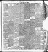 Cork Daily Herald Tuesday 17 November 1896 Page 5