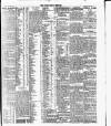 Cork Daily Herald Thursday 19 November 1896 Page 3