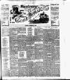Cork Daily Herald Saturday 21 November 1896 Page 9