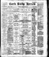 Cork Daily Herald Tuesday 24 November 1896 Page 1