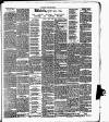 Cork Daily Herald Saturday 16 January 1897 Page 11