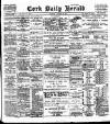 Cork Daily Herald