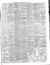 Galway Express Saturday 13 April 1878 Page 3