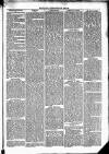 Clare Advertiser and Kilrush Gazette Saturday 17 July 1869 Page 5