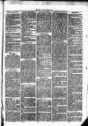 Clare Advertiser and Kilrush Gazette Saturday 31 July 1869 Page 3