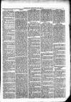 Clare Advertiser and Kilrush Gazette Saturday 14 August 1869 Page 5