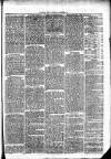Clare Advertiser and Kilrush Gazette Saturday 14 August 1869 Page 7