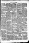 Clare Advertiser and Kilrush Gazette Saturday 28 August 1869 Page 3