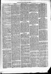 Clare Advertiser and Kilrush Gazette Saturday 04 September 1869 Page 5