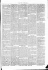 Clare Advertiser and Kilrush Gazette Saturday 13 November 1869 Page 5