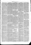 Clare Advertiser and Kilrush Gazette Saturday 27 November 1869 Page 5