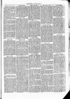 Clare Advertiser and Kilrush Gazette Saturday 11 December 1869 Page 5