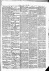 Clare Advertiser and Kilrush Gazette Saturday 18 December 1869 Page 3