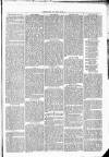 Clare Advertiser and Kilrush Gazette Saturday 18 December 1869 Page 5