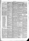 Clare Advertiser and Kilrush Gazette Saturday 25 December 1869 Page 3