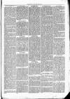 Clare Advertiser and Kilrush Gazette Saturday 25 December 1869 Page 5