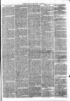 Clare Advertiser and Kilrush Gazette Saturday 01 January 1870 Page 7