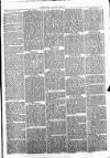 Clare Advertiser and Kilrush Gazette Saturday 22 January 1870 Page 5