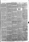Clare Advertiser and Kilrush Gazette Saturday 22 January 1870 Page 7